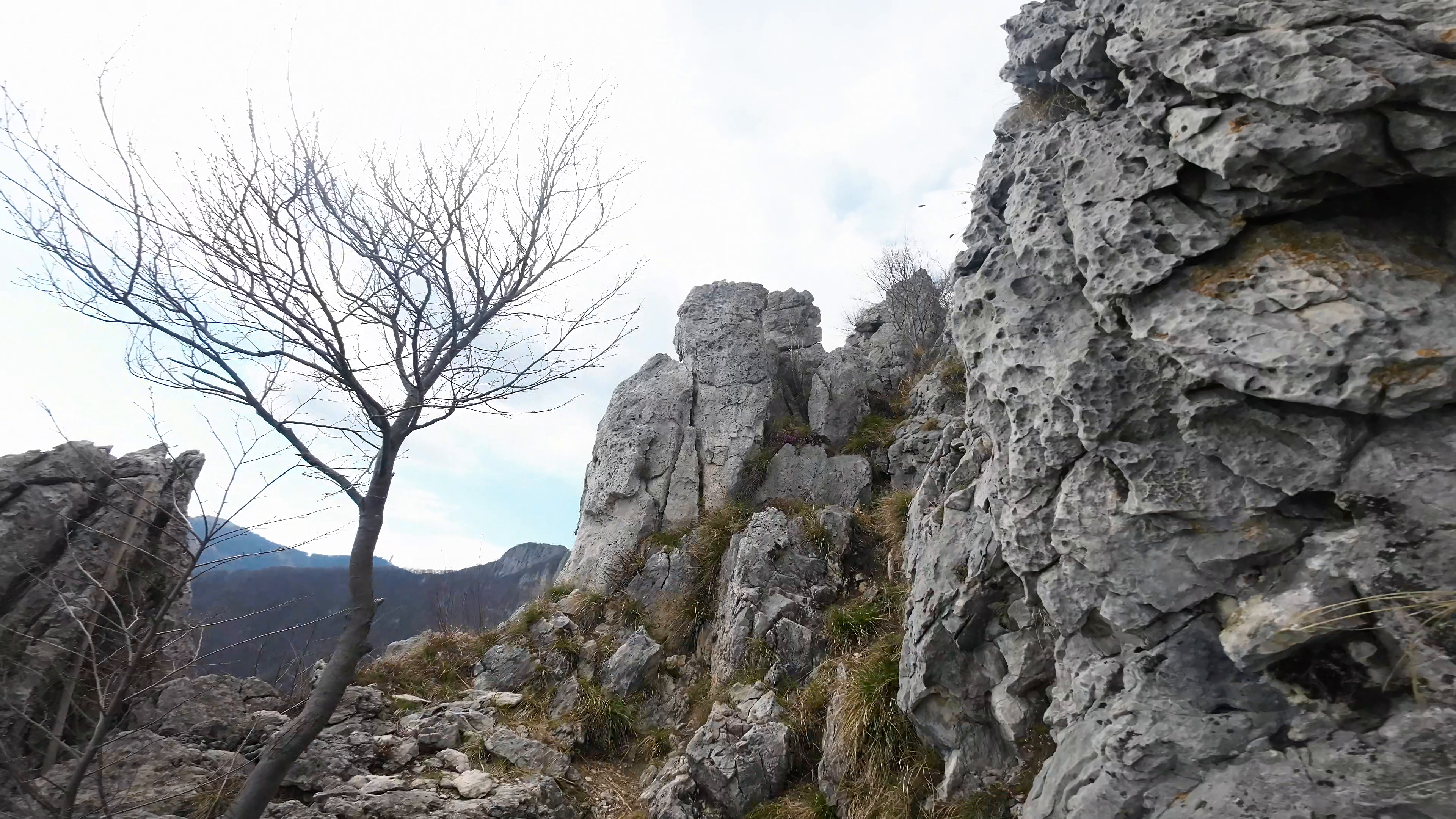 Foto n° 8 del trekking Cresta OSA